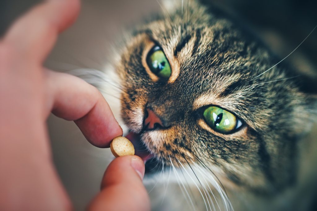 administer medication