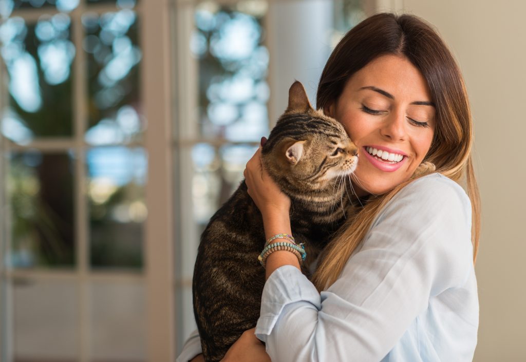 cost of owning a cat