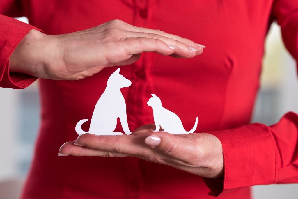 is pet insurance worth it