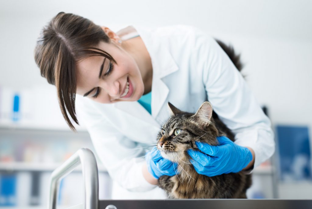 Gift for Veterinarian
